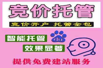 实战技巧：竞价推广案例解析与效果评估